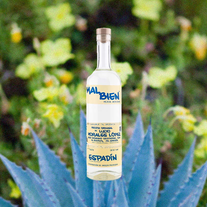 Bottle of Mal Bien Espadín Mezcal over backdrop of blue agave plant and greenery.