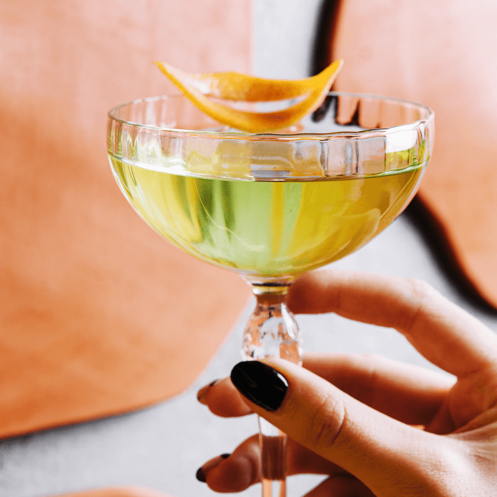 Saramago: A cocktail recipe featuring tequila, dry vermouth and St Germain