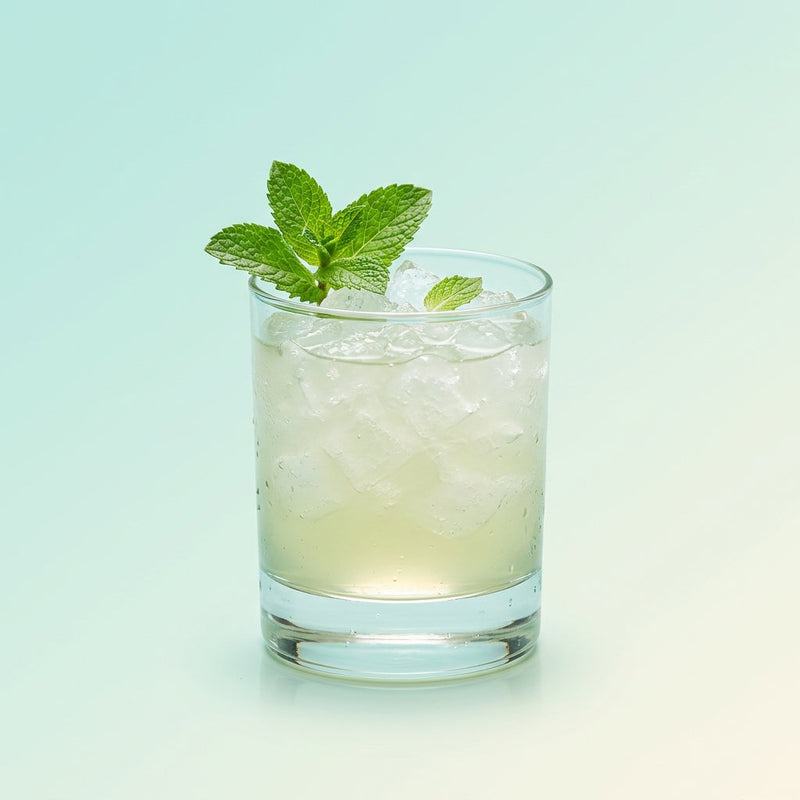 A photo of the The Dutch Smoke cocktail containing Mint leaves, Bols Genever, Del Maguey Vida Mezcal, Freshly squeezed lemon juice, Giffard Sugar Cane Syrup (Sirop Sucre de Canne) in a Old-Fashioned.