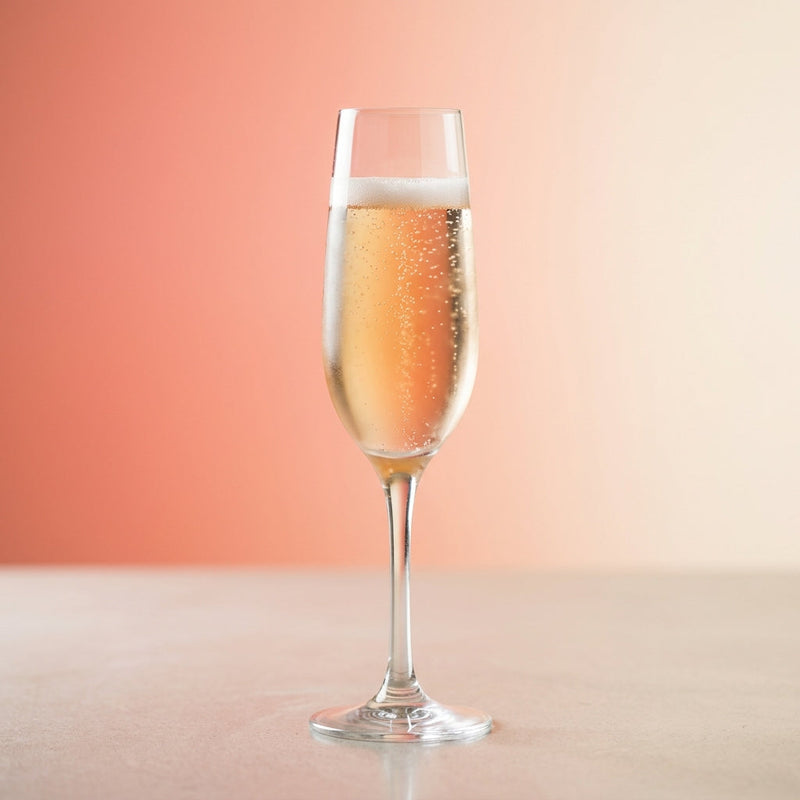 Grapefruit Glamour Pop