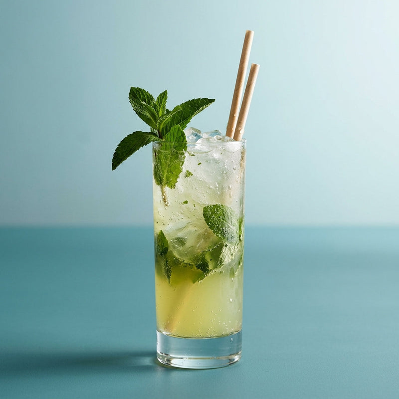A photo of the Mint Fizz cocktail containing Mint leaves, Beefeater London Dry Gin, Tempus Fugit Crème De Menthe, Freshly squeezed lime juice, Giffard Sugar Cane Syrup (Sirop Sucre de Canne), Club soda in a Collins.