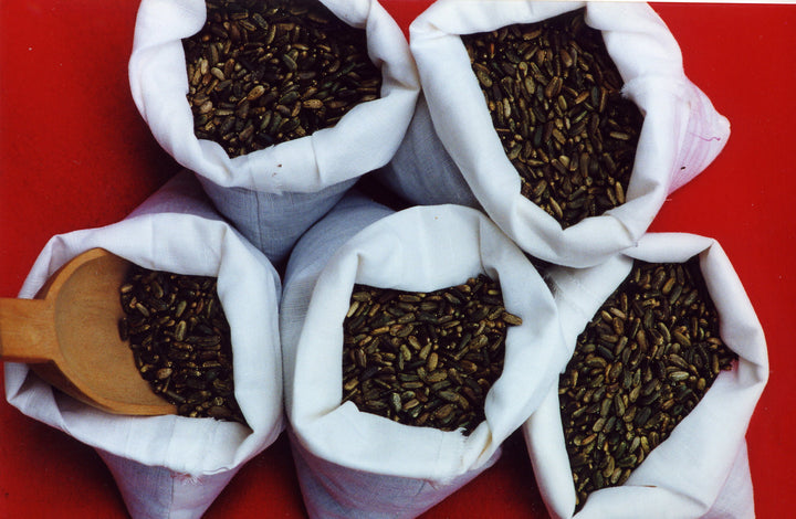 White bags filled with dark seeds or grains on a red background