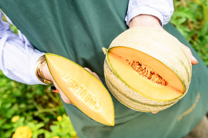 Person holding a halved cantaloupe with a green background