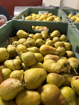Pears in a green plastic crate with a blurred background