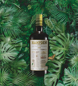 Hampden Estate rum bottle on a green leafy background