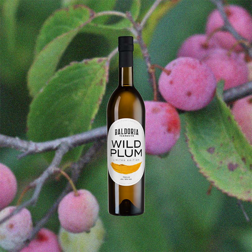 Baldoria Wild Plum Vermouth | Order Online | Curiada