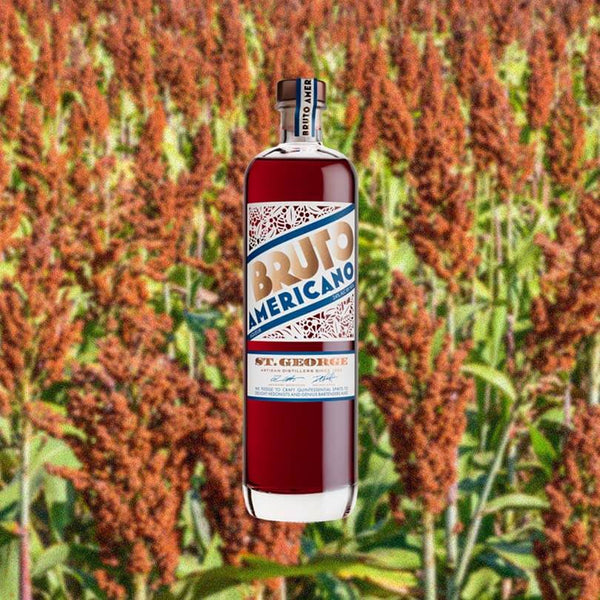 Bottle of St. George Bruto Americano over backdrop of a field.