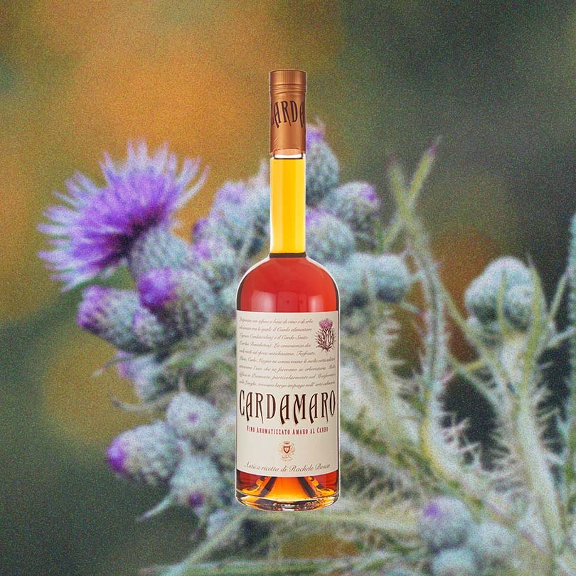 A tall bottle with a thin neck. The liquid is a pleasing orange yellow color. The label looks like old-fashioned manuscript and reads: Cardamaro.  There is a hand-drawn image of a thistle in the upper right corner. Against a slightly blurred backdrop of a thistle plant.