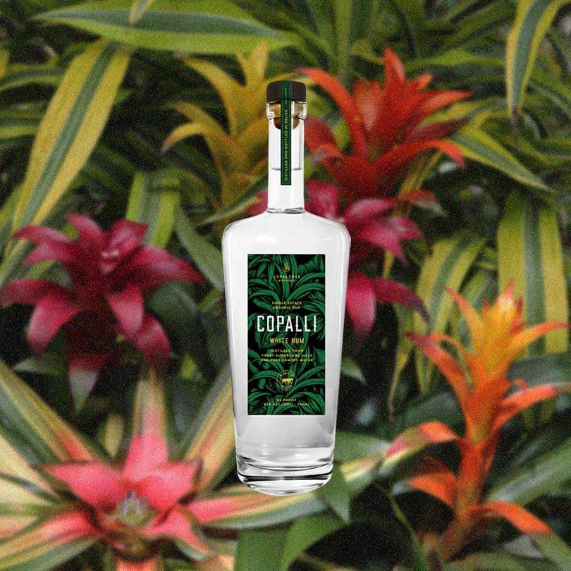 Bottle of Copalli White Rum over a background of green plants and red and orange flowers.