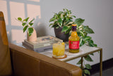 Bottle of Liber & Co. syrup with a cocktail on a table next to a book and plants.