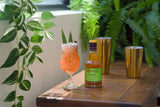 Cocktail glass with a drink and bottle on a wooden table with plants in the background