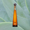 Bottle of Don Julio 1942 Tequila over backdrop of agave leaf.