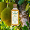 Bottle Image for Down Island Spirits Jamaica HD 2022 Rum against backdrop of tropical fruits on a tree