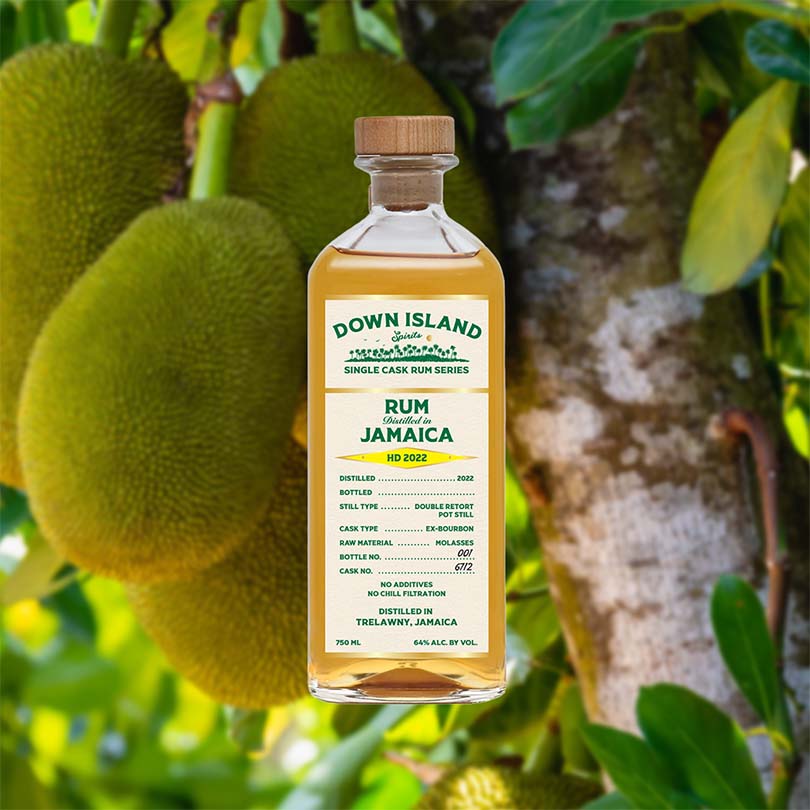 Bottle Image for Down Island Spirits Jamaica HD 2022 Rum against backdrop of tropical fruits on a tree