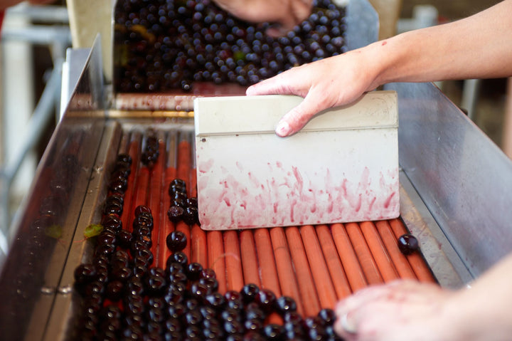 Coffee beans being processed on a mechanical sorting machine.