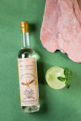 An overhead shot of the La Puritita Verda Mezcal Artesanal bottle to the left, slightly tilted, with a refreshing looking cocktail garnished with a mint leaf beside it.  All on a green backdrop.
