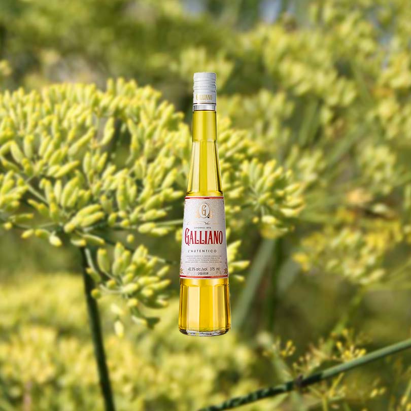 Bottle of Galliano Autentico Liqueur over backdrop image of green flower.