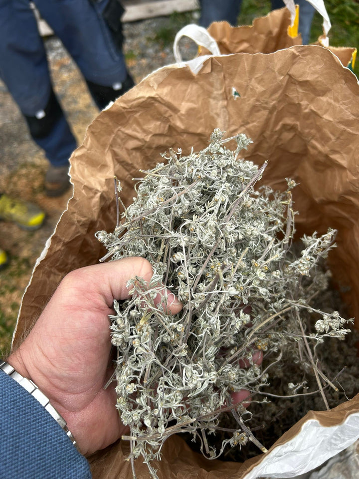 Hand holding dried plants over a brown paper bag outdoors