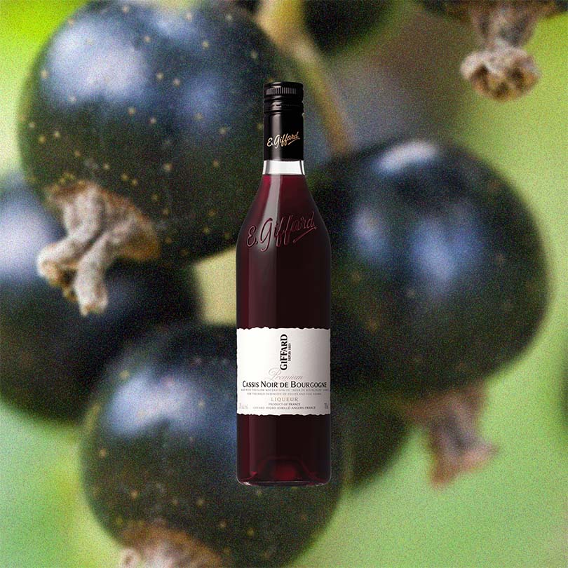 Bottle of Giffard Cassis Noir de Bourgogne over backdrop image of a dark fruit up close.