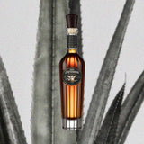 Bottle of Gran Centenario Leyenda Extra Anejo Tequila over backdrop image of agave.