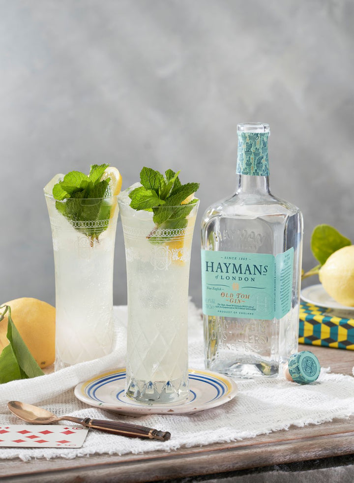Hayman's gin bottle with two glasses of gin and tonic on a wooden table.