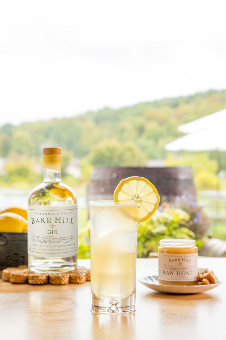 Bottle of Barr Hill Gin with a glass of gin and tonic on a table with a scenic background.