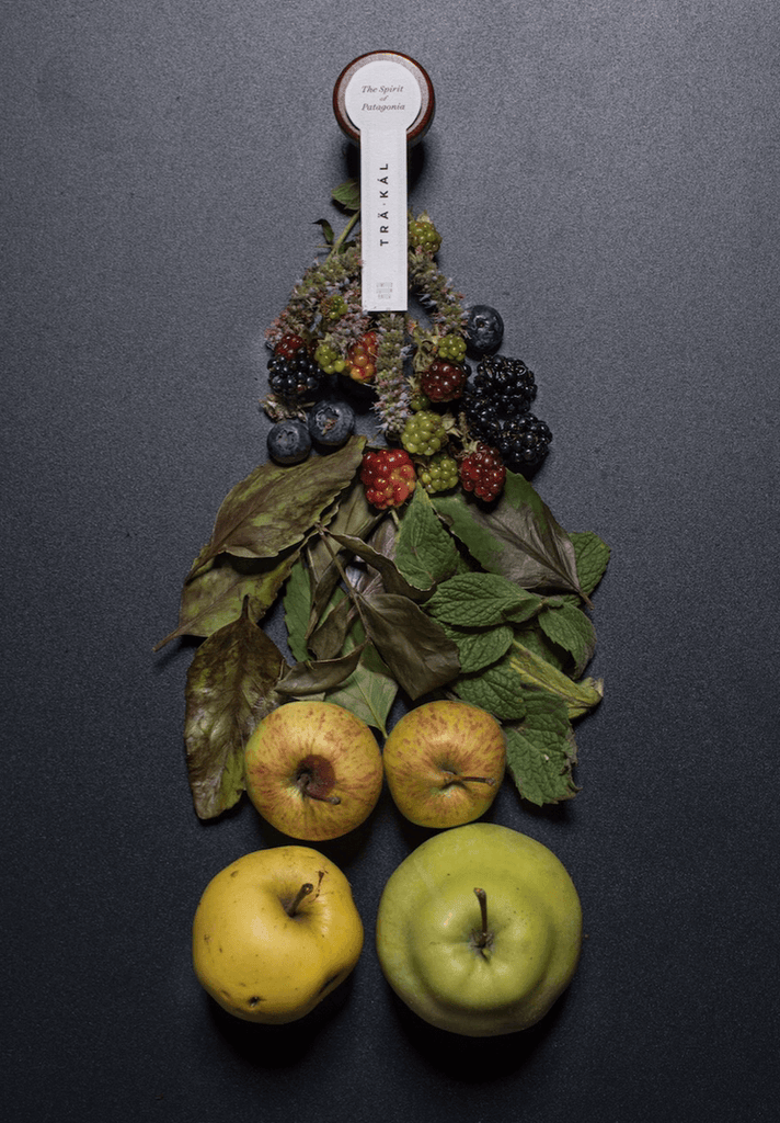 Fruits and botanicals forming the shape of a bottle, depicting the ingredients found in Trakal Patagonian Spirit