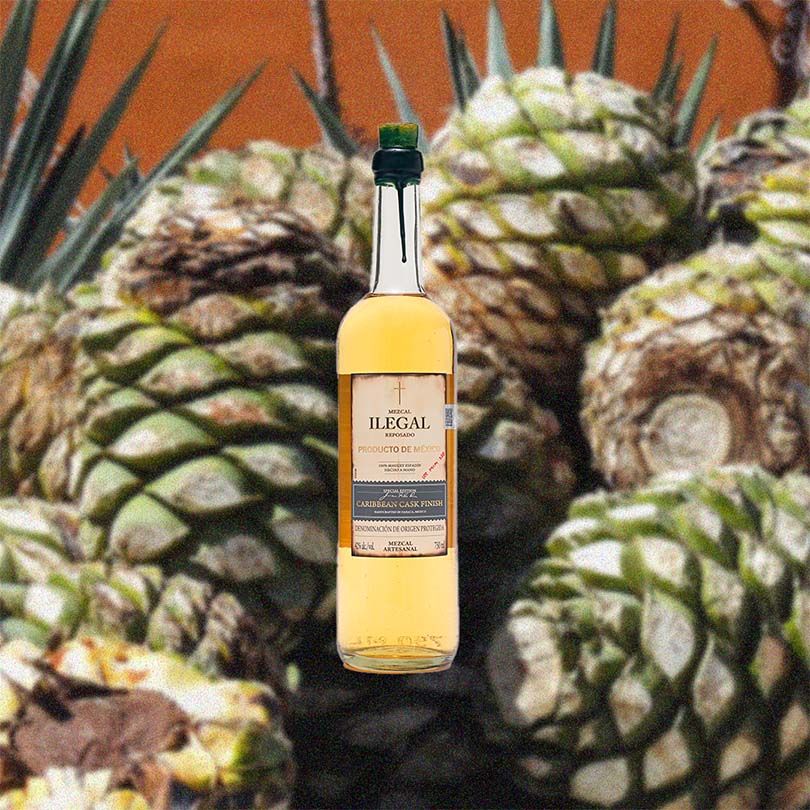 Bottle of Bottle of Ilegal Mezcal Reposado Caribbean Cask Finish over backdrop of agave plants.