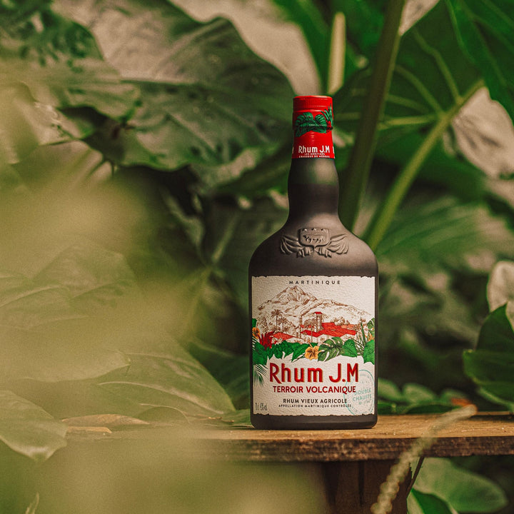 Bottle of Rhum J.M. rum with a decorative label on a wooden surface with green foliage in the background