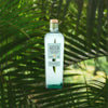 A bottle of Kota Pandan Liqueur over backdrop of green plant leaves.
