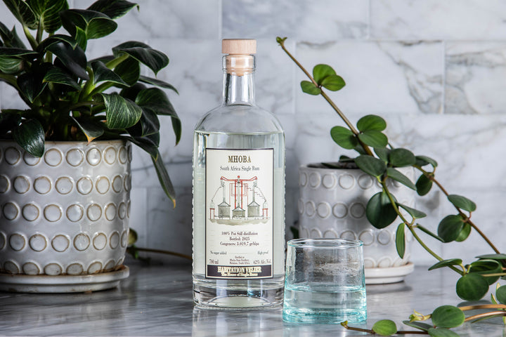 Bottle of Mezcal on a marble surface with plants and a glass.