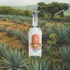 Lagrimas del Valle Tequila - 2022 Palo Verde Plata over backdrop of agave field.