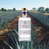 Bottle of Lalo Tequila Blanco over backdrop of agave field.