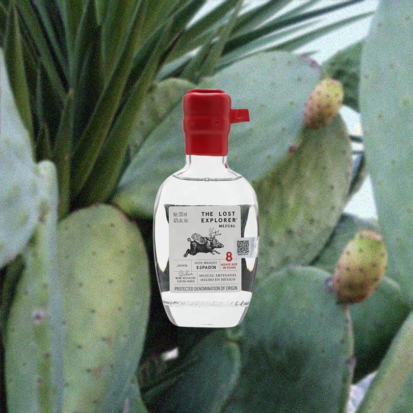 200ml hip flask bottle of Lost Explorer mezcal against a backdrop of agave plants.