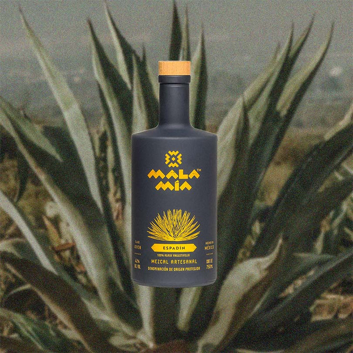 Bottle of Mala Mía Espadin Mezcal. Over backdrop of Agave plant.