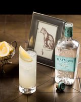 Hayman's gin bottle with a cocktail and lemon garnish on a tiled surface.