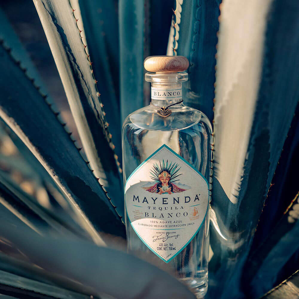 A bottle of Mayenda Tequila Blanco sitting upright in an agave plant.