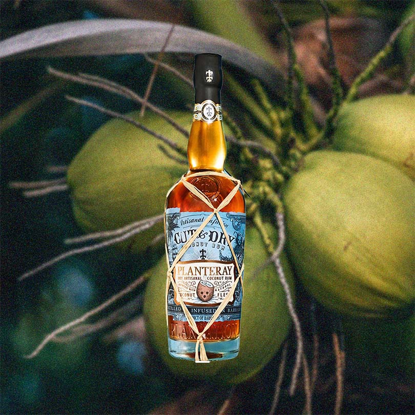 Bottle of Planteray Cut & Dry Coconut Rum over backdrop of green coconuts.