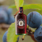 Bottle of Plymouth Sloe Gin over back drop image of blueberries.