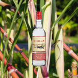 Bottle of Rhum J.M Agricole Blanc 110 White Rum over back drop image of sugar cane.