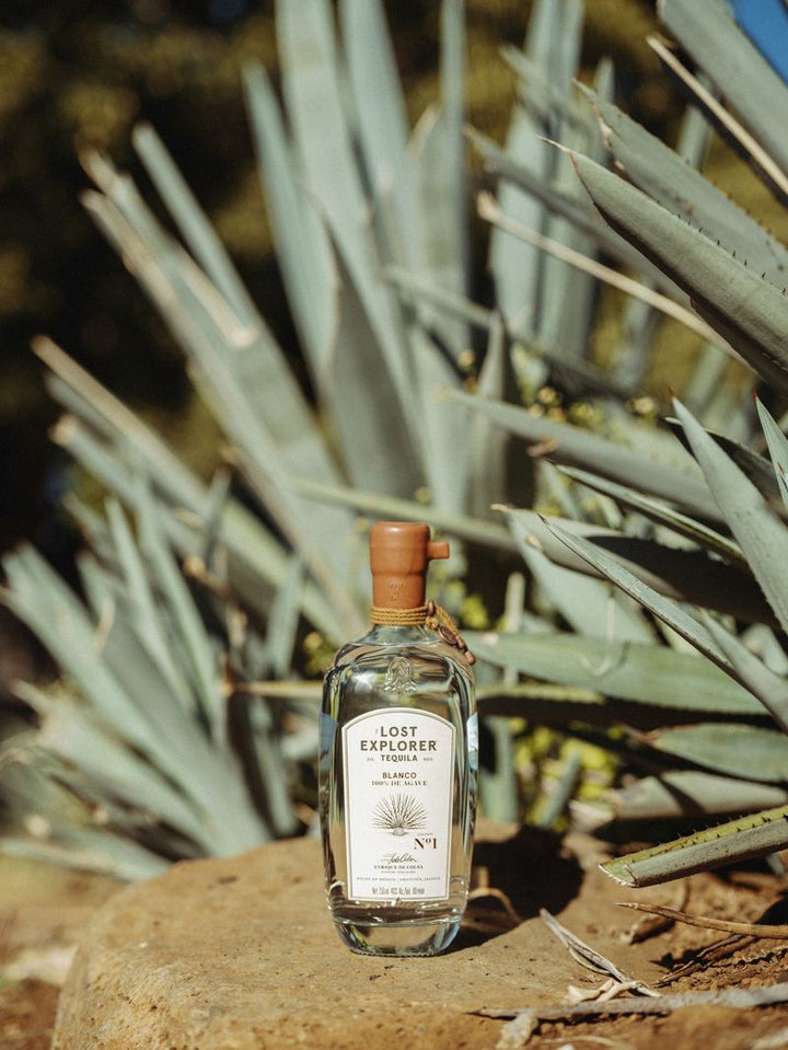 Bottle of Lost Explorer tequila in front of cacti