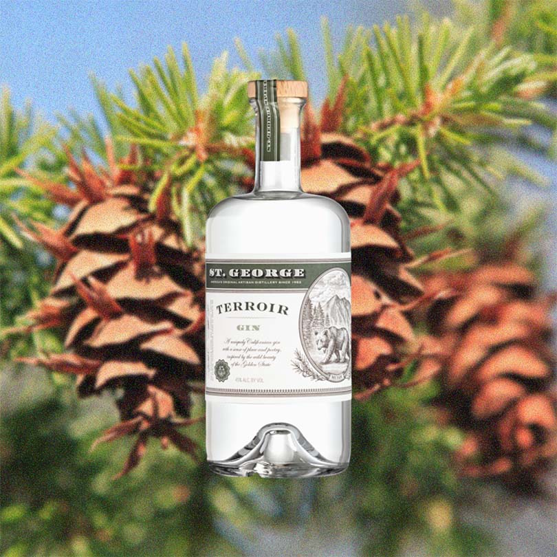 Bottle of St. George Terroir Gin over back drop image of a pine cone on a tree.