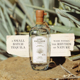 Bottle of The Lost Explorer Tequila bottle on a rock in front of an agave plant.