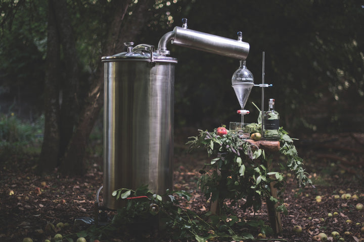 A moody image of a still and a vaporizor in the woods, a bottle of Trakal Patagonian Spirit on a rough-hewn stool next to the still, surrounded by herbs, leaves, and fruits.