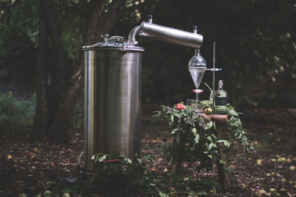 A moody image of a still and a vaporizor in the woods, a bottle of Trakal Patagonian Spirit on a rough-hewn stool next to the still, surrounded by herbs, leaves, and fruits.