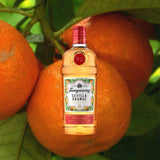 A lovely bright orange colored glass bottle in the familiar shape of classic Tanqueray gin. The foil cap is red, and the label reads: Tanqueray Sevilla Orange. Orange Flavored Gin. It is surrounded by a border of illustrated orange slices and orange blossoms.  All of this set against a backdrop of a macro shot of Sevilla oranges clustered on a branch.