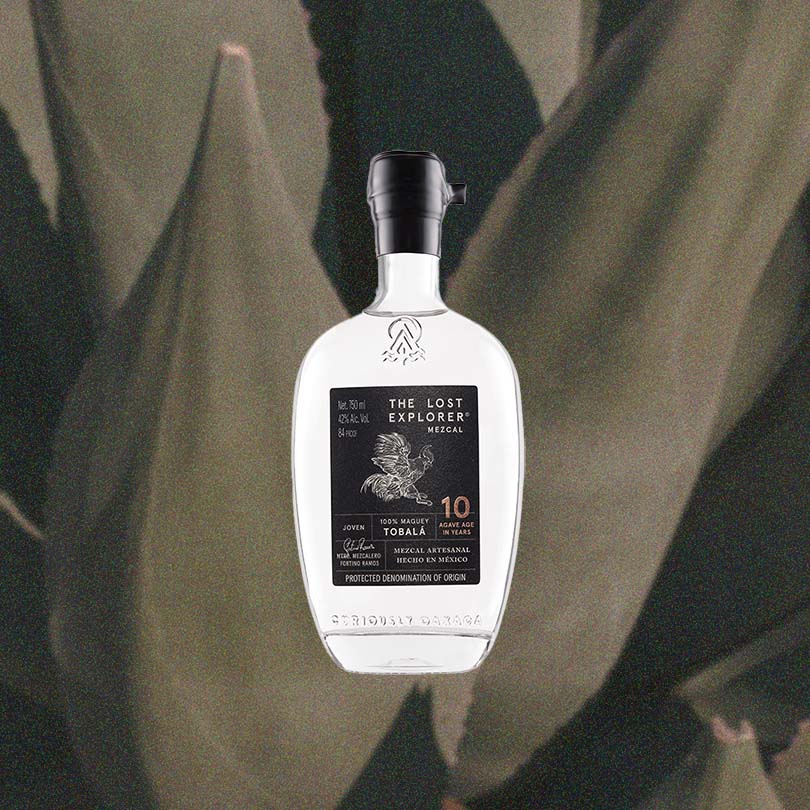 Bottle of The Lost Explorer Tobala Mezcal - 750ml over backdrop of gray plant.