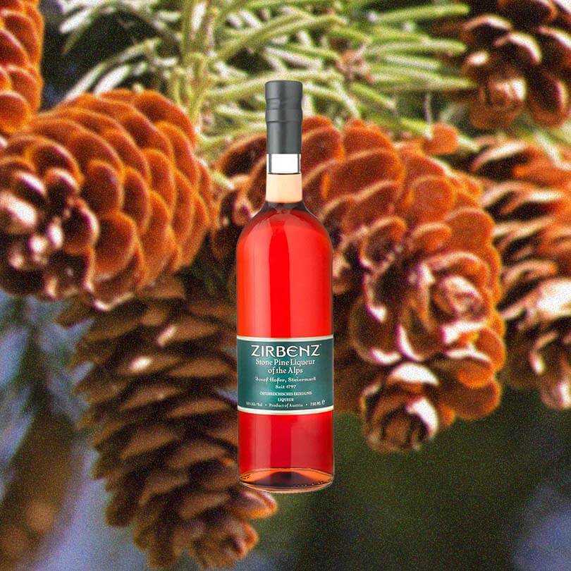 A bottle of Zirbenz Ston Pine Liqueur set against a backdrop of sweet young red pinecones still on the branch.