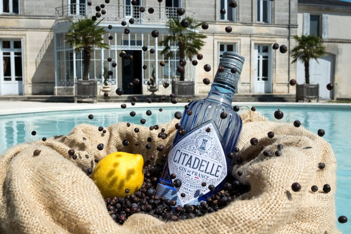 Citadelle gin bottle with lemons and blackberries on a stone surface in front of a building.