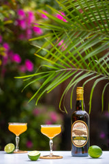 Bottle of Hamilton Jamaican Pot Still Gold Rum outside on a table next to limes and 2 cocktails.